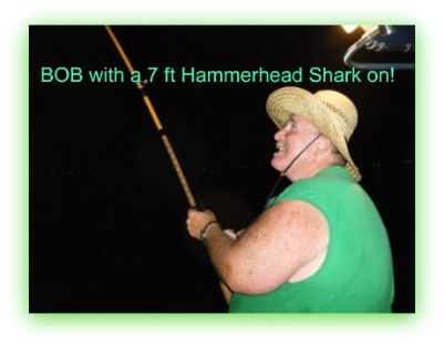 Bob shark fishing on St Pete fishing charters