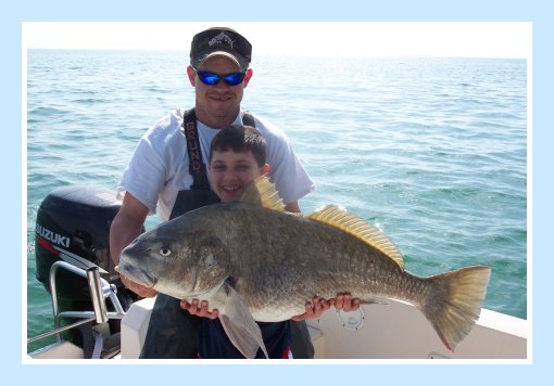 Kids catch 45 pound Black Drum caught on fat cat fishing charters in March and April in Tampa Bay Fl. 