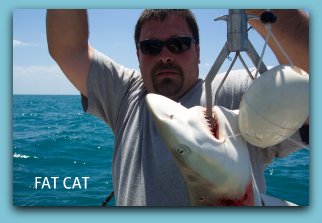 Black tip shark fishing in Florida.