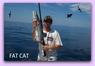 Kingfish bit off by a shark