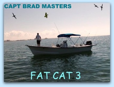 St.Pete Fishing Charters