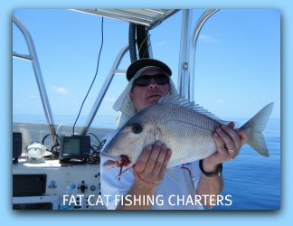 Porgy fishing on the fat cat.