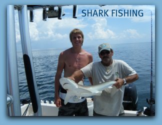shark fishing in the Tampa Bay area with Capt Jay on Fat Cat Fishing charters
