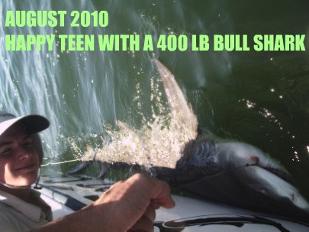 Tampa bay fishing charters catching BULL SHARK FISHING ON FAT CAT FISHING CHARTERS