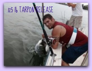 TARPON CAUGHT ON THE FAT CAT IN TAMPA BAY FL CAPT JAY MASTERS