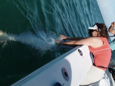 Tarpon Release on fat cat.