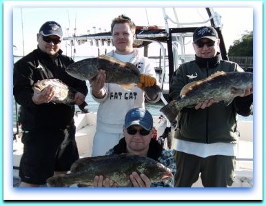 St.Petersburg Beach Fishing Charters | Fishing Charters St.Petersburg Fl | Fat Cat Pictures