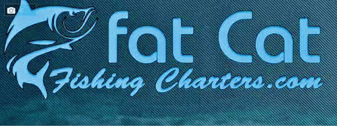 St.Petersburg Beach Fishing Charters | Fishing Charters St.Petersburg Fl | Fat Cat Pictures