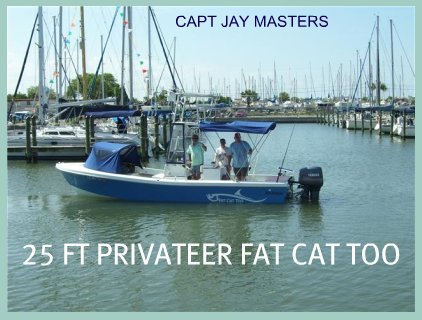 Tampa Deep Fishing Charters on Fishing Charters Fishing Charter Florida Tampa Bay Charter Fishing
