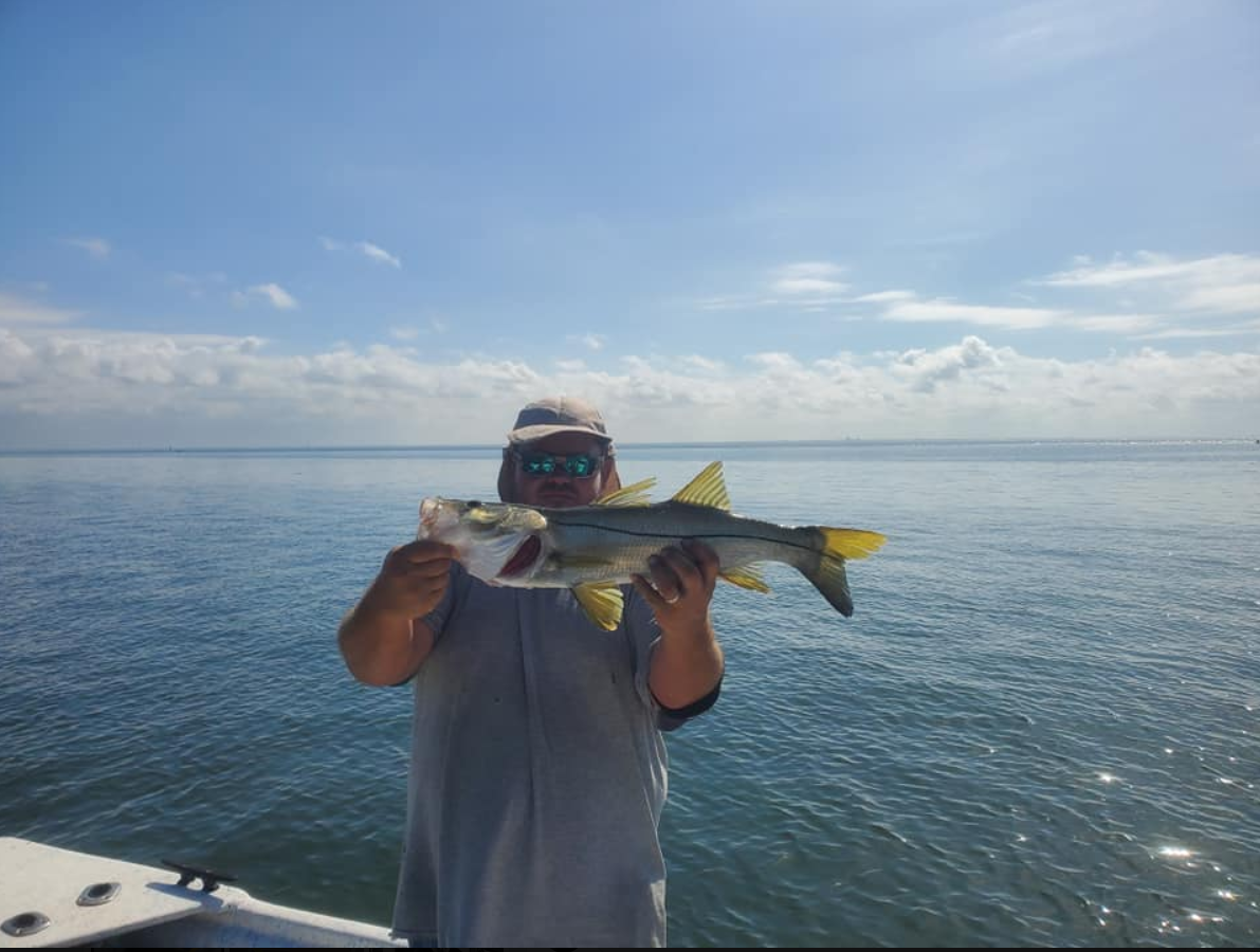  Tampa Bay Fl Fishing Charters | Charter Fishing Tampa Bay Florida | Captain